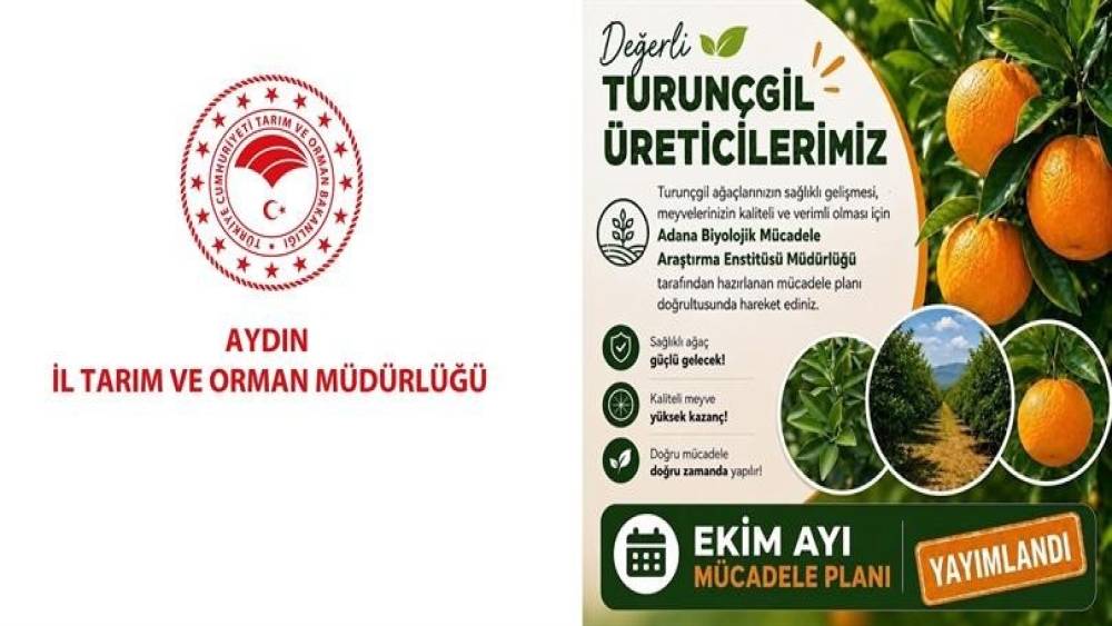 Aydın&rsquo;da turun&ccedil;gil bah&ccedil;eleri i&ccedil;in Ekim ayı m&uuml;cadele planı a&ccedil;ıklandı

