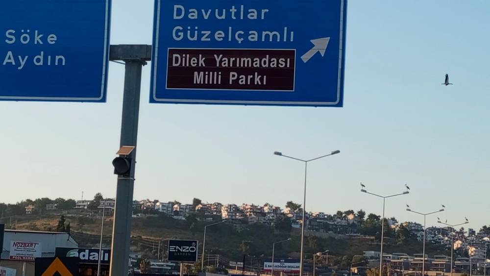 Kuşadası&rsquo;nda leylekler geri d&ouml;nd&uuml;
