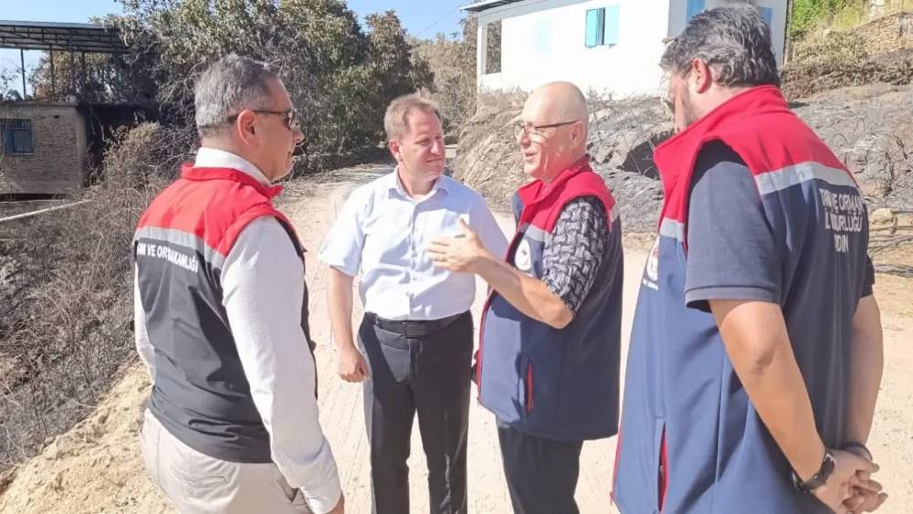 &Ccedil;ine&rsquo;de yangın sonrası hasar tespit &ccedil;alışmaları s&uuml;r&uuml;yor
