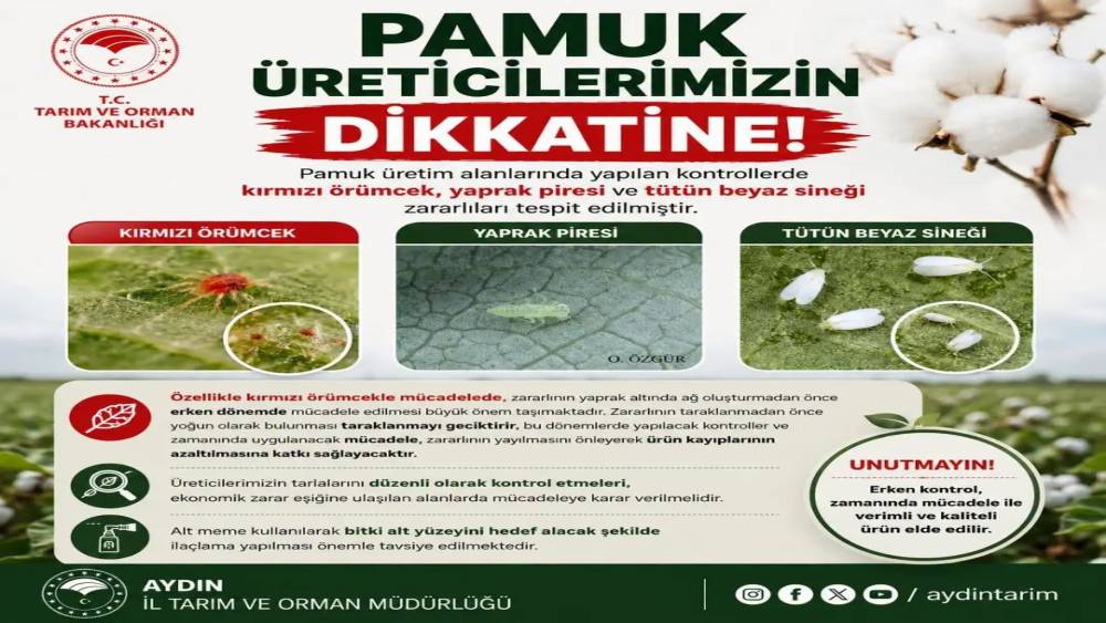 Aydınlı pamuk &uuml;reticilerine zararlı uyarısı
