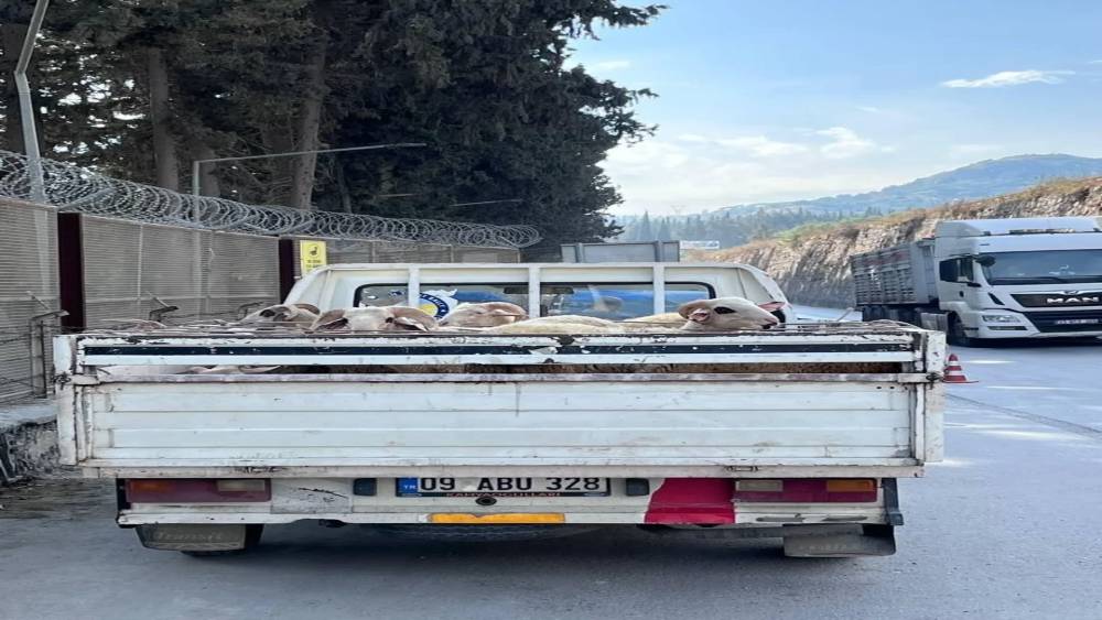 Hayvan hastalıkları ile mücadelede yol kontrolleri devam ediyor
