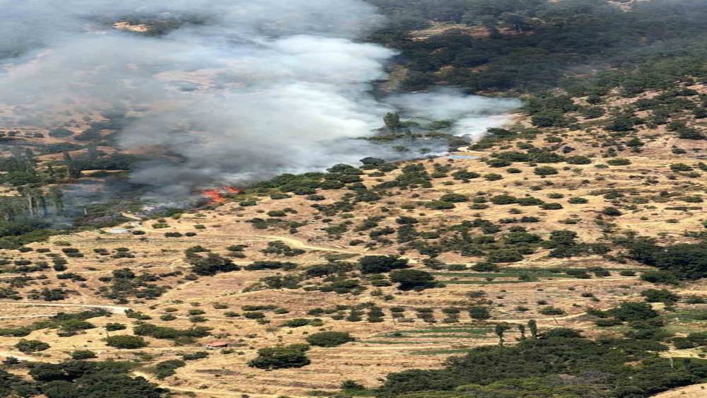 Kuyucak&rsquo;ta orman yangını: 5 dekar kestanelik yandı
