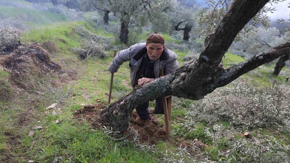 Film sahnesi değil ger&ccedil;ek hayat
