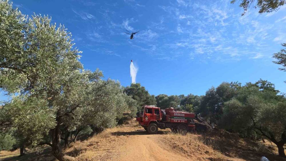 Nazilli&rsquo;de &ccedil;ıkan yangında 2 d&ouml;n&uuml;m zeytinlik zarar g&ouml;rd&uuml;
