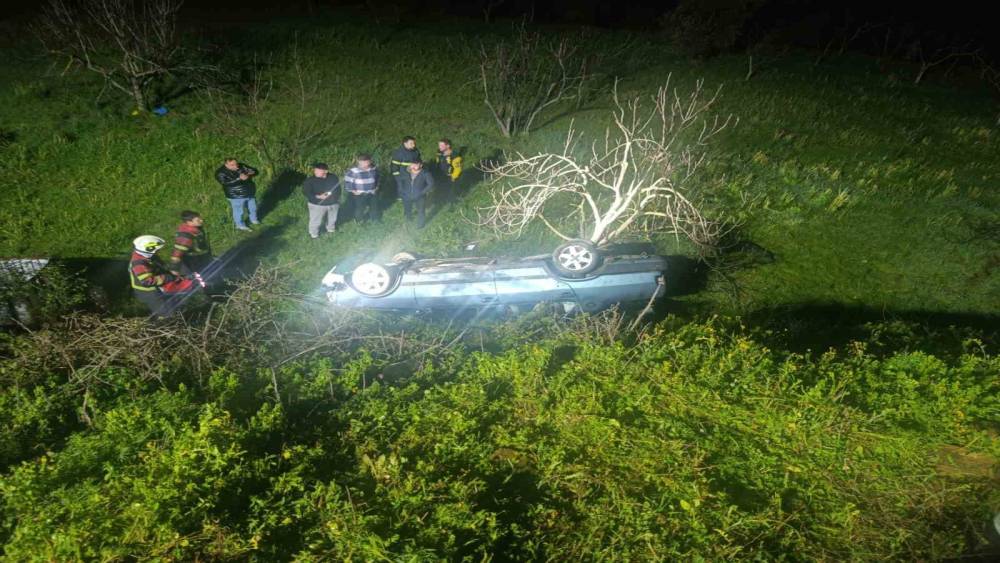 Domuza &ccedil;arpan otomobil u&ccedil;uruma yuvarlandı
