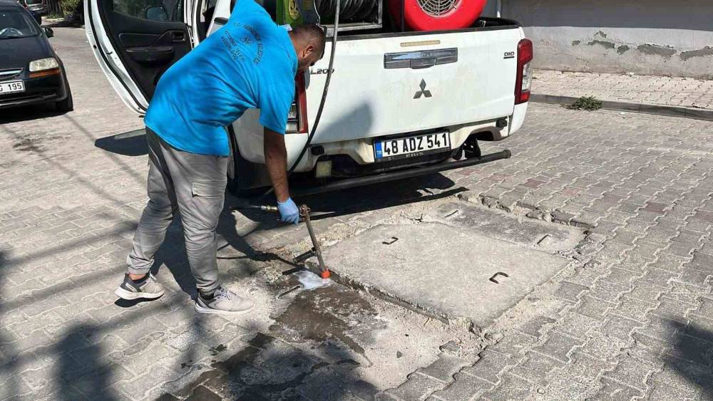Germencik&rsquo;te haşere ve zararlılara karşı etkin m&uuml;cadele
