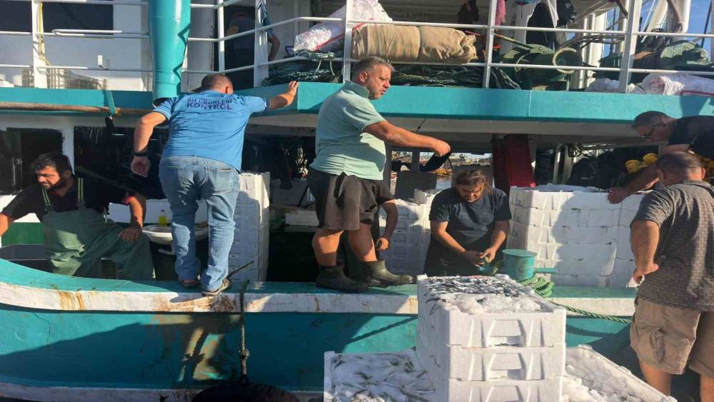 Hamsi avında kota d&ouml;nemi başladı, denetimler s&uuml;r&uuml;yor
