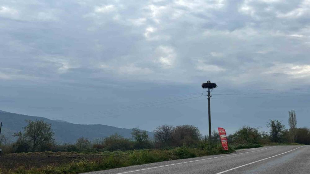 Bozdoğan&rsquo;da baharın m&uuml;jdecisi leylekler yuvalarına d&ouml;nd&uuml;
