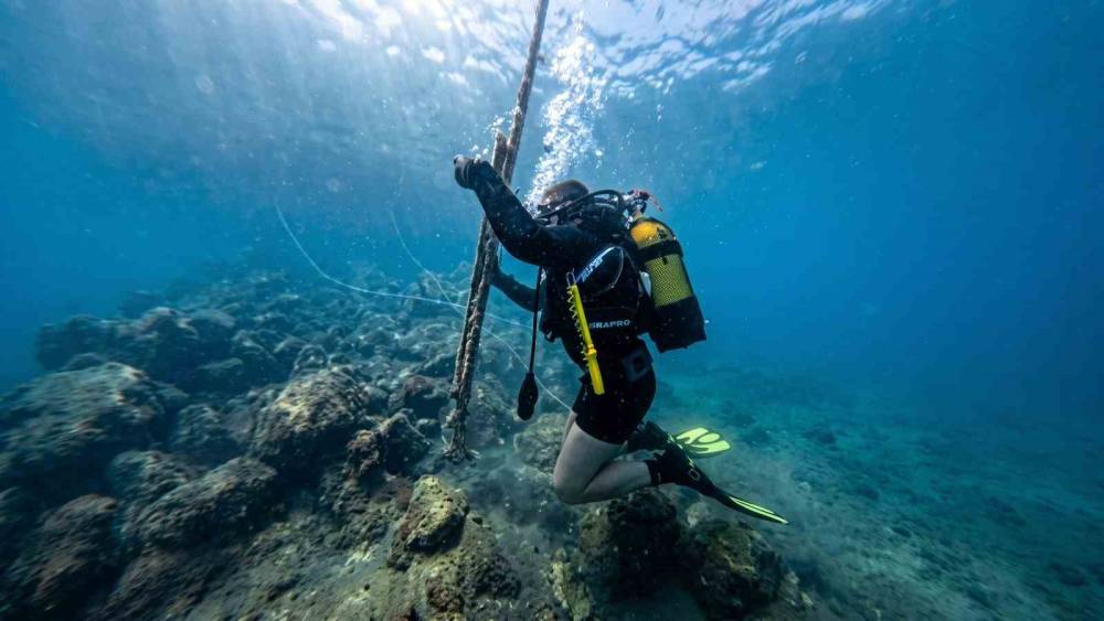 G&uuml;vercinada a&ccedil;ıklarında deniz dibi temizliği yapıldı
