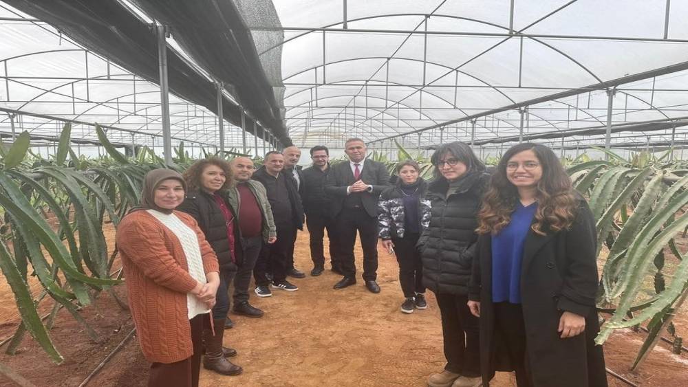 "Efeler&rsquo;de Pitaya G&uuml;&ccedil;leniyor" projesi incelendi
