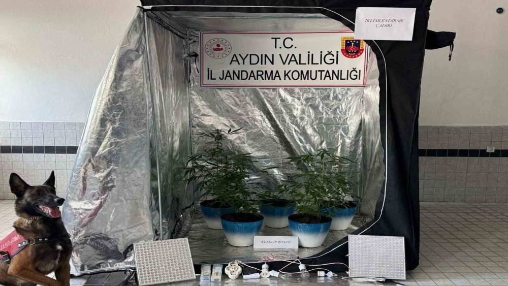 Jandarma narkotik affetmedi
