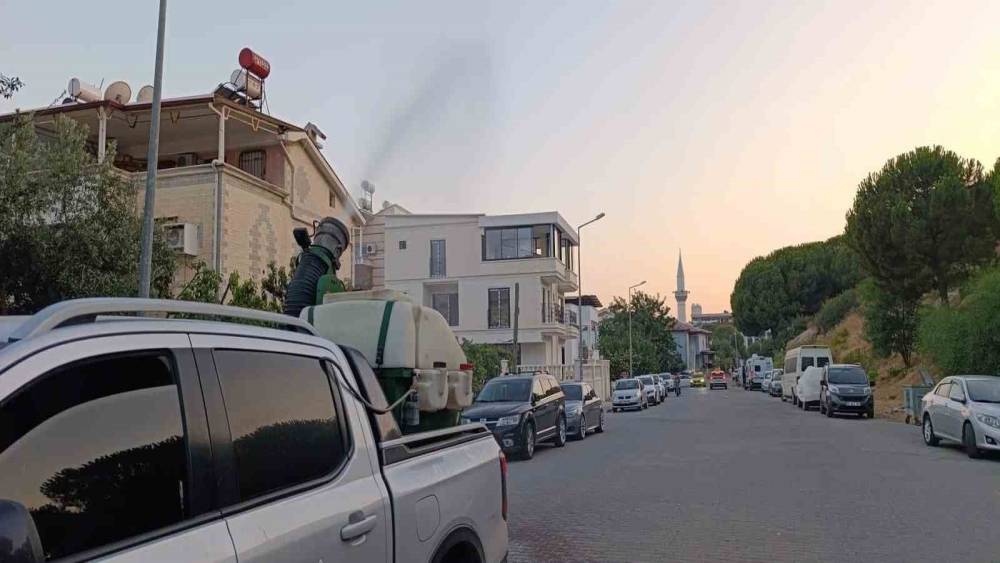 Didim Belediyesi&rsquo;nden sinek ve haşerelere karşı kapsamlı m&uuml;cadele

