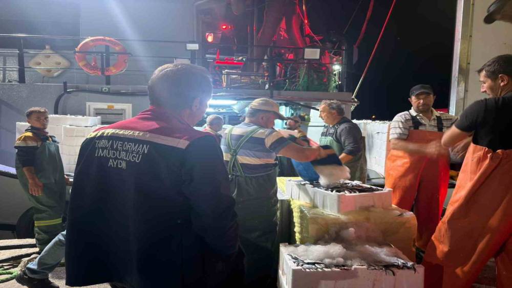 Didim&rsquo;de &lsquo;Hamsi Kotası&rsquo; denetimi yapıldı
