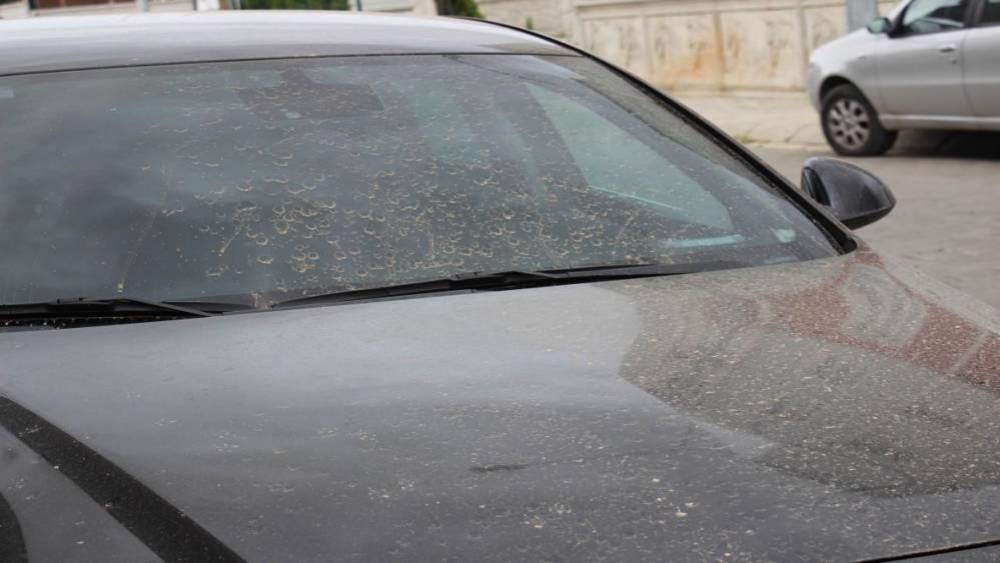 Aydın&rsquo;da toz taşınımı bekleniyor
