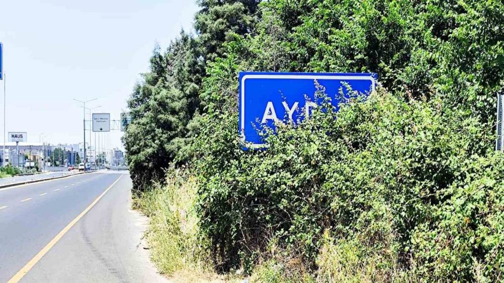 Karayolu &uuml;zerindeki Aydın tabelası &ccedil;alılar arasında kaldı
