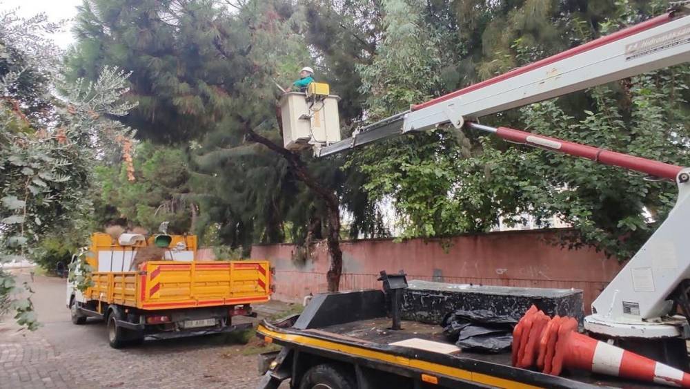 Efeler&rsquo;de ağa&ccedil; budama &ccedil;alışmaları s&uuml;r&uuml;yor
