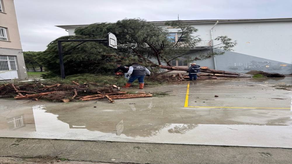 Okul bah&ccedil;esindeki &ccedil;am ağa&ccedil;ları kuvvetli r&uuml;zgara dayanamadı
