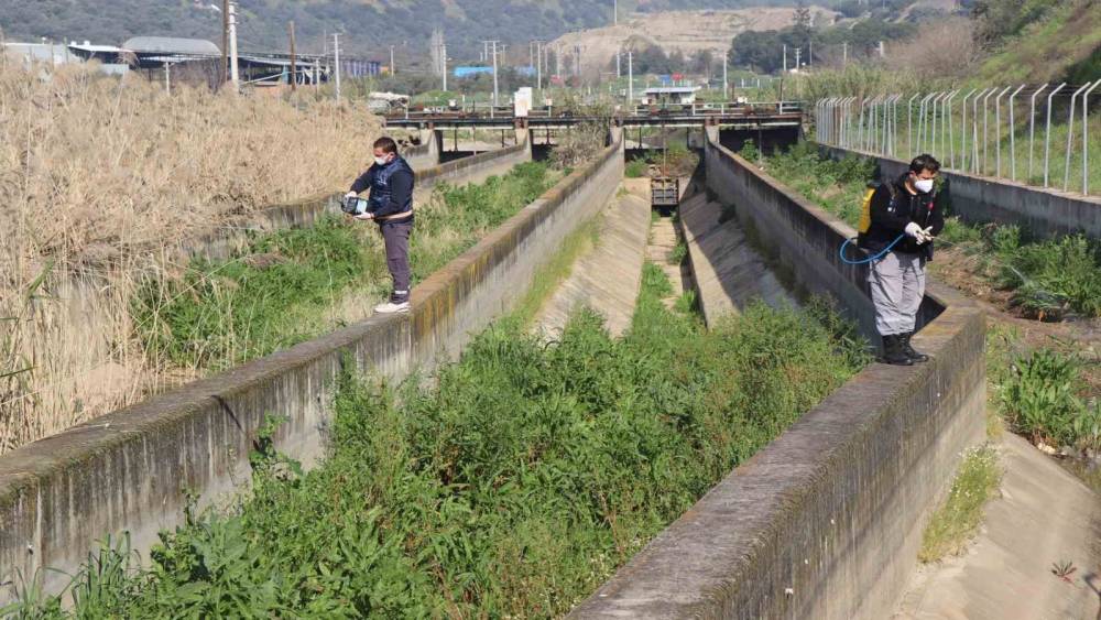 Nazilli Belediyesi sivrisinek ve haşereyle m&uuml;cadeleye kesintisiz devam ediyor
