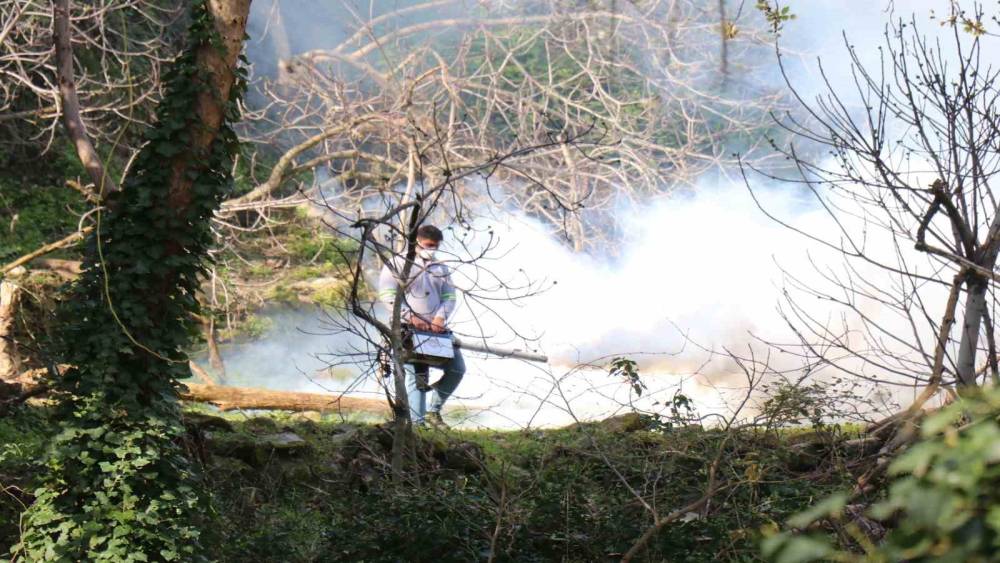 Bozdoğan Belediyesi ila&ccedil;lama &ccedil;alışmalarını aralıksız s&uuml;rd&uuml;r&uuml;yor
