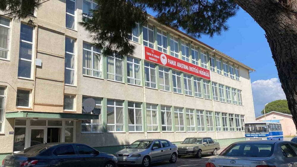 Pamuk Araştırma Enstit&uuml;s&uuml;&rsquo;ndeki r&uuml;şvet iddiasına operasyon
