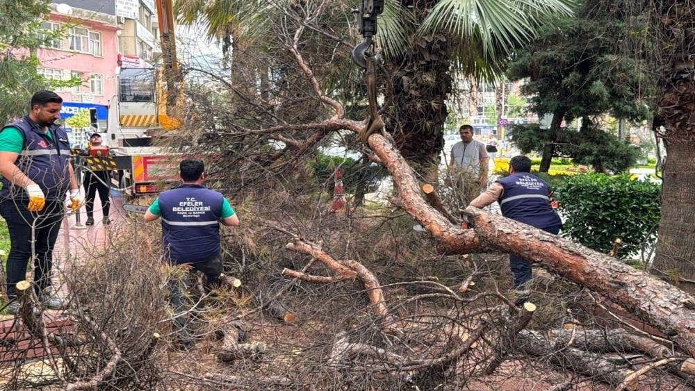 Efeler Belediyesi parkları g&uuml;venli hale getiriyor
