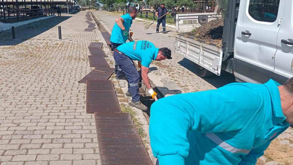 Hayvan pazarında bayram mesaisi başladı
