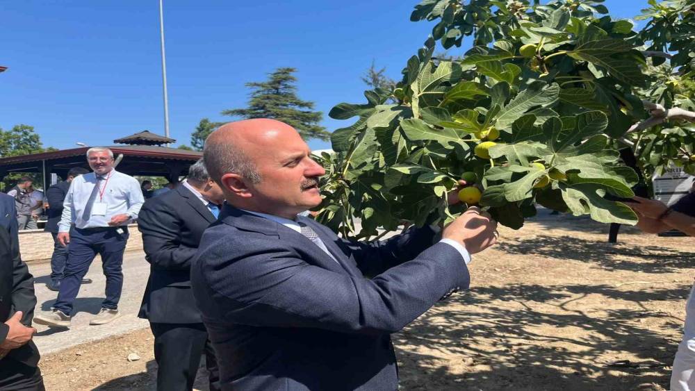 Aydın&rsquo;a 100 milyonluk yatırım
