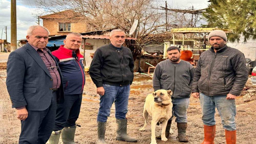 S&ouml;ke Ovası&rsquo;nda yağış sonrası zarar tespit &ccedil;alışmaları
