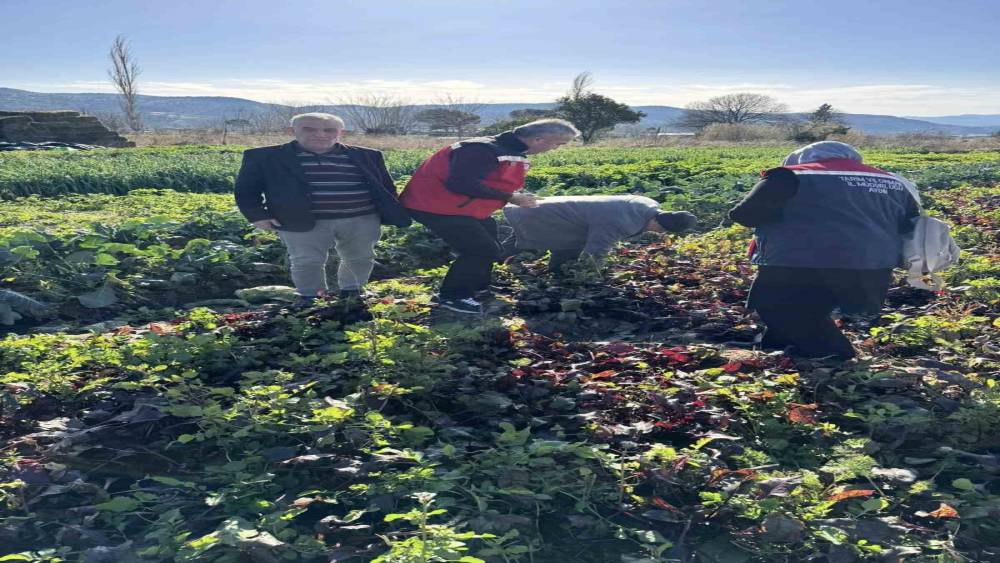 Tarımda kimyasalsız &uuml;retime yerinde inceleme
