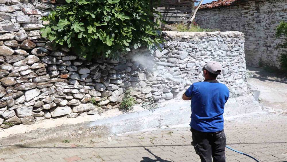 Bozdoğan&rsquo;da haşereye karşı kire&ccedil;leme &ccedil;alışmaları s&uuml;r&uuml;yor
