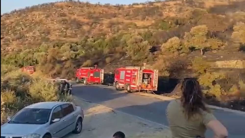 S&ouml;ke&rsquo;deki orman yangını kontrol altına alındı
