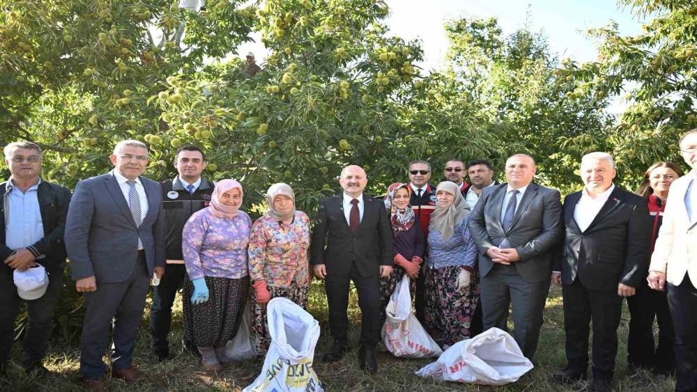 Aydın&rsquo;da 5 bin 629 kestane &uuml;reticisi hasat heyecanı yaşıyor
