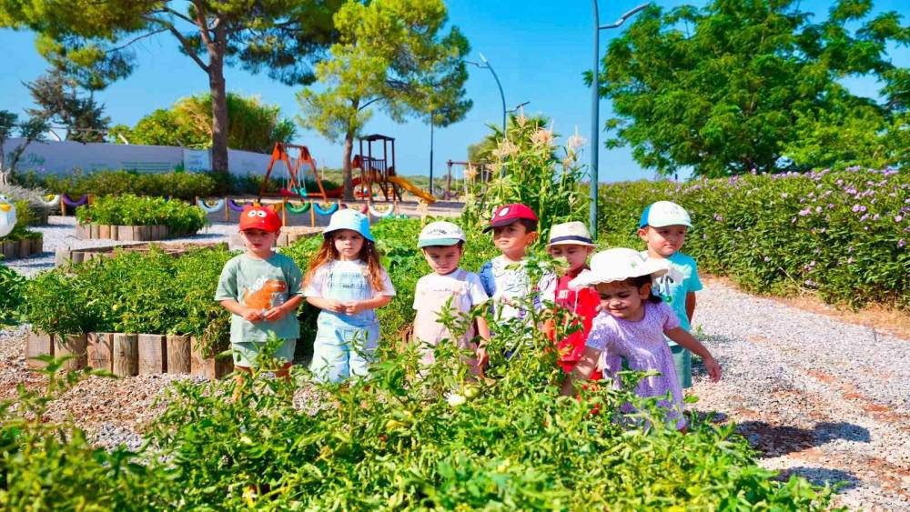 Didim Belediyesi Tarım Parkı&rsquo;nda minikler hasat deneyimi yaşadı
