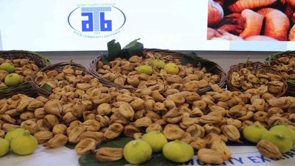 Aydın&rsquo;da sezonun ilk kuru inciri 850 liradan satıldı

