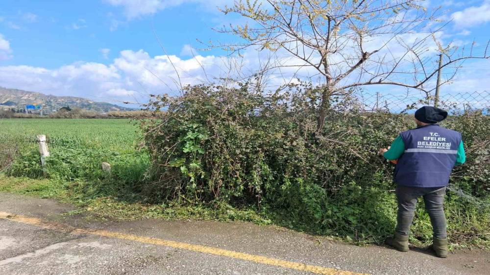 Efeler&rsquo;in yeşil alanlarında temizlik &ccedil;alışması s&uuml;r&uuml;yor
