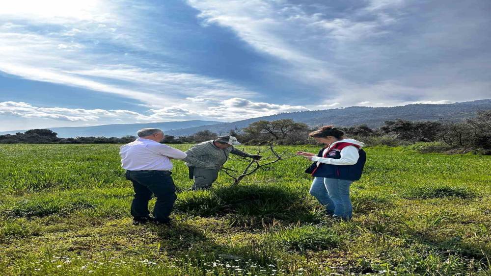 Bozdoğan İl&ccedil;e Tarım ve Orman M&uuml;d&uuml;rl&uuml;ğ&uuml; ekipleri ilek bah&ccedil;esinde bakım yaptı
