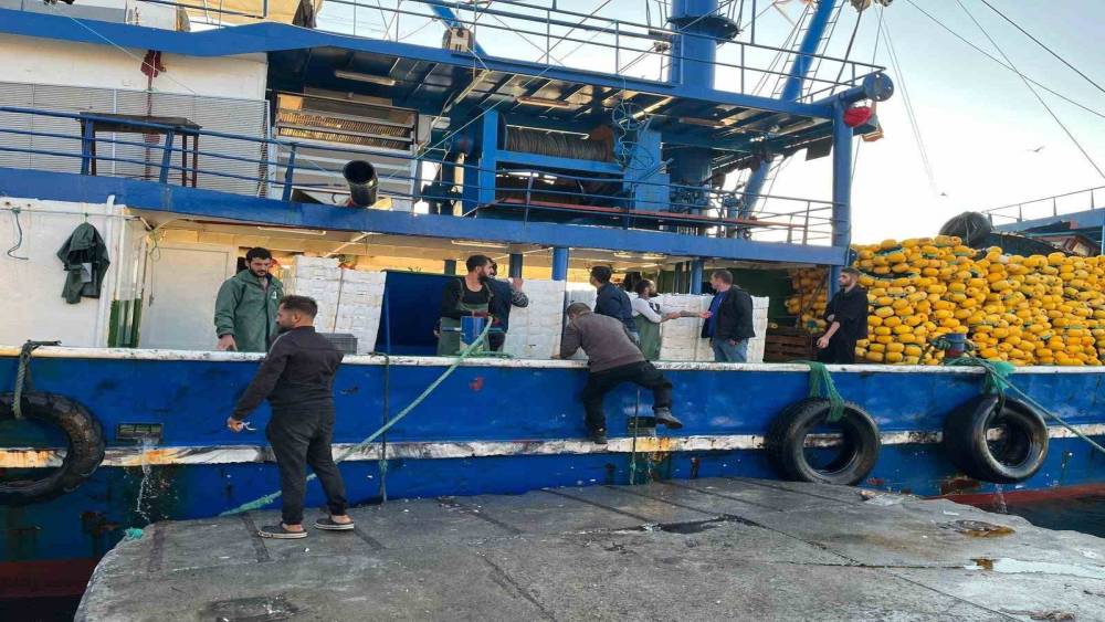 Didim&rsquo;de hamsi kotası denetimleri s&uuml;r&uuml;yor
