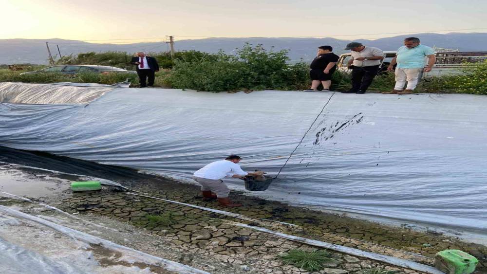 Sulama havuzuna d&uuml;şen 5 yavru k&ouml;peği belediye ekipleri kurtardı
