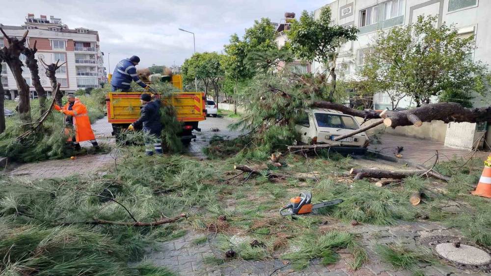 &Uuml;zerine ağa&ccedil; devrilen park halindeki ara&ccedil; zarar g&ouml;rd&uuml;
