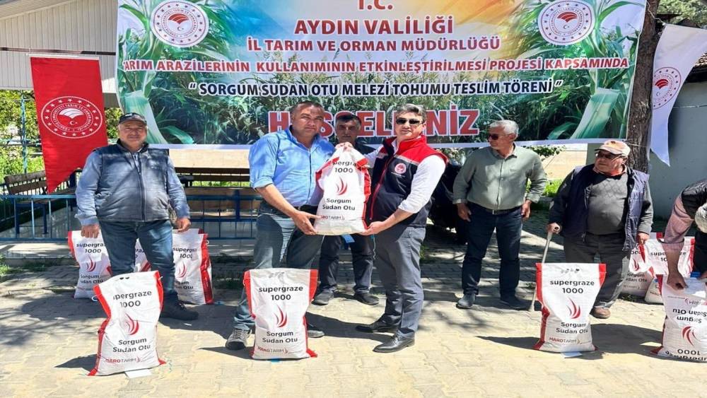 Silajlık mısıra alternatif olan sorgum otu &uuml;reticilere dağıtıldı
