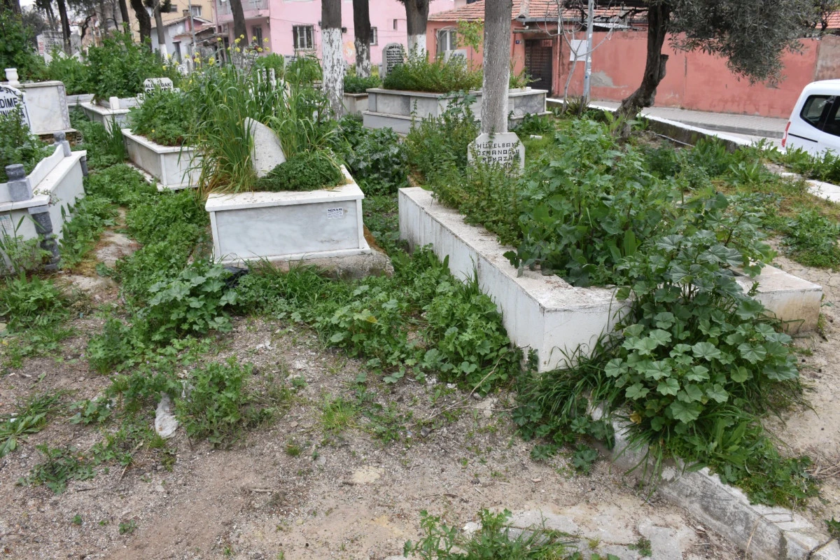 B&Uuml;Y&Uuml;KŞEHİR BELEDİYESİ MEZARLIKLARI KADERİNE TERK ETTİ