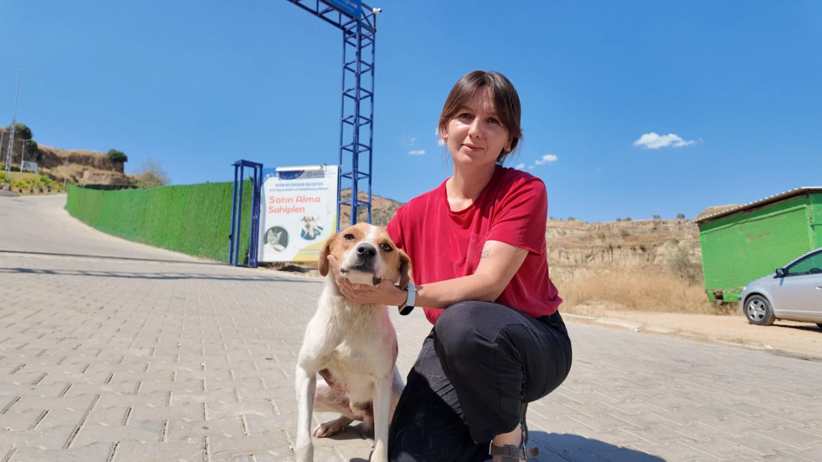 Can dostuna kavuşan g&ouml;n&uuml;ll&uuml;: "&Ccedil;ok mutluyuz ama h&acirc;l&acirc; kayıp hayvanlarımız var"