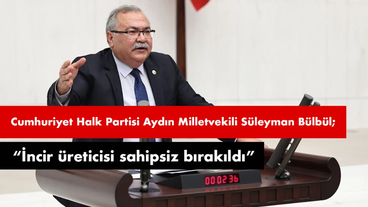CHP’li Bülbül: “İncir üreticisi tüccarların insafına terk edildi”