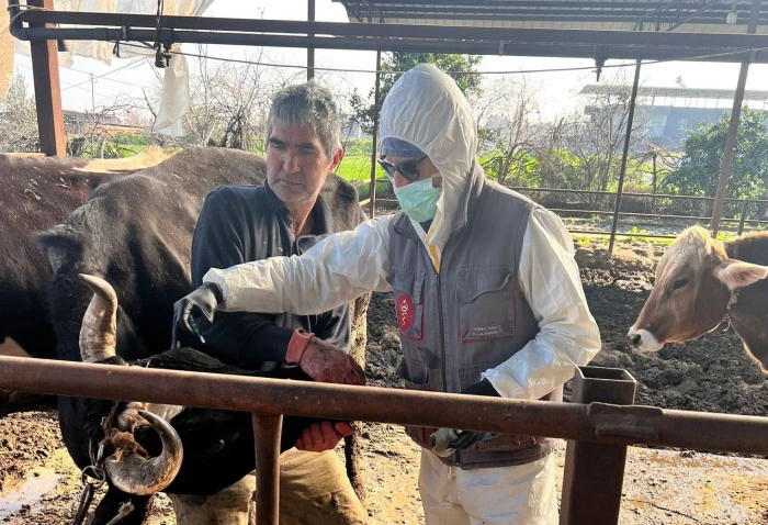 Efeler&rsquo;de 15 bin hayvan aşılandı