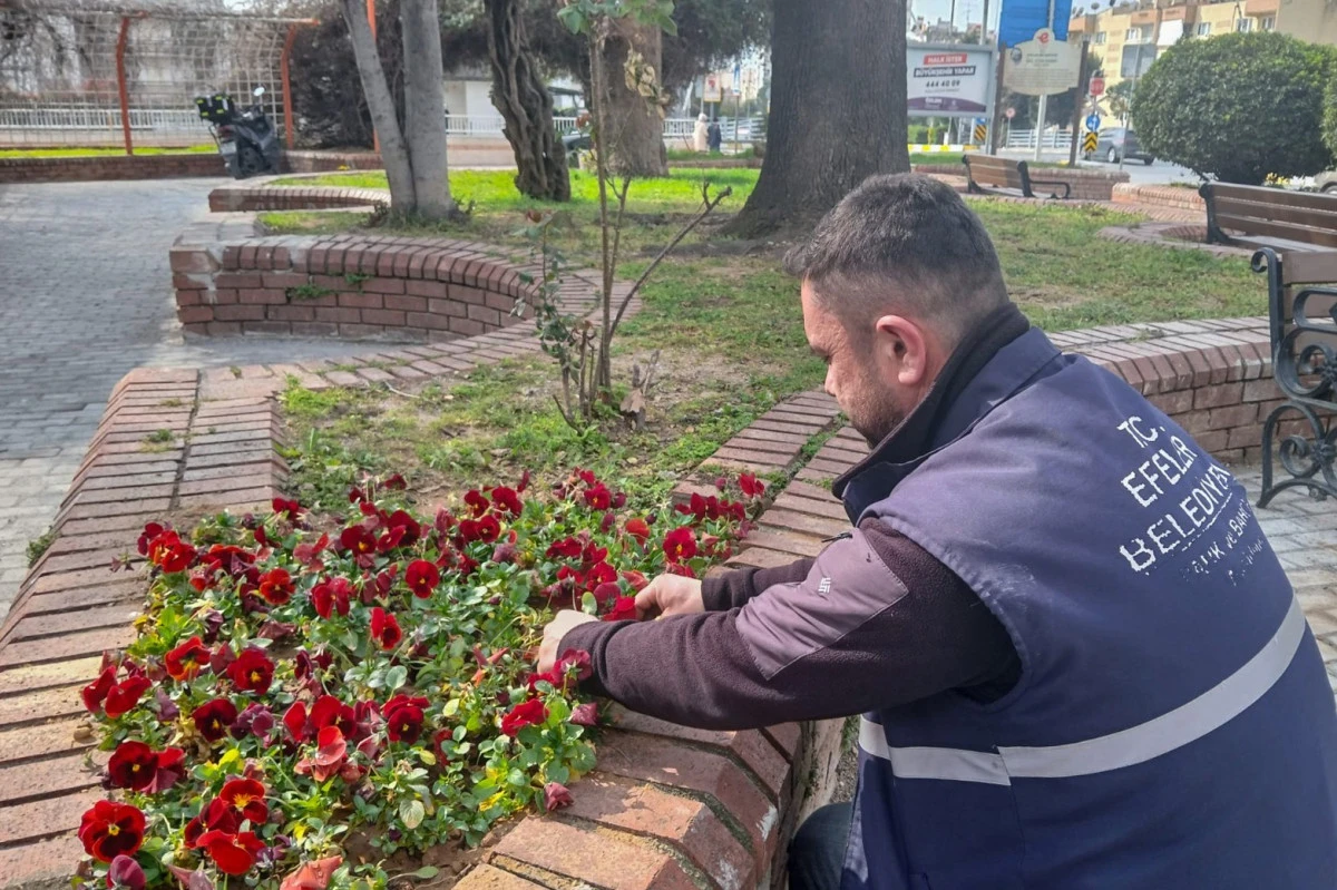 EFELER&rsquo;DE YEŞİL D&Ouml;N&Uuml;Ş&Uuml;M