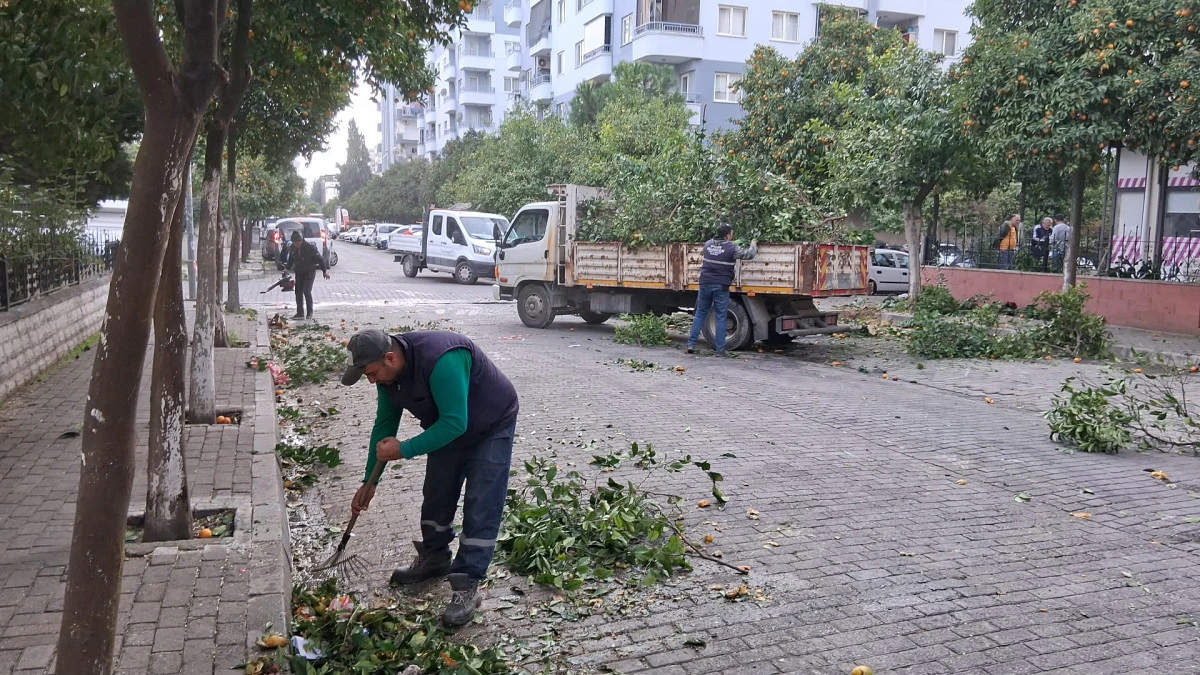 EFELER’İN EKİPLERİ DAHA YEŞİL BİR KENT İÇİN ÇALIŞIYOR