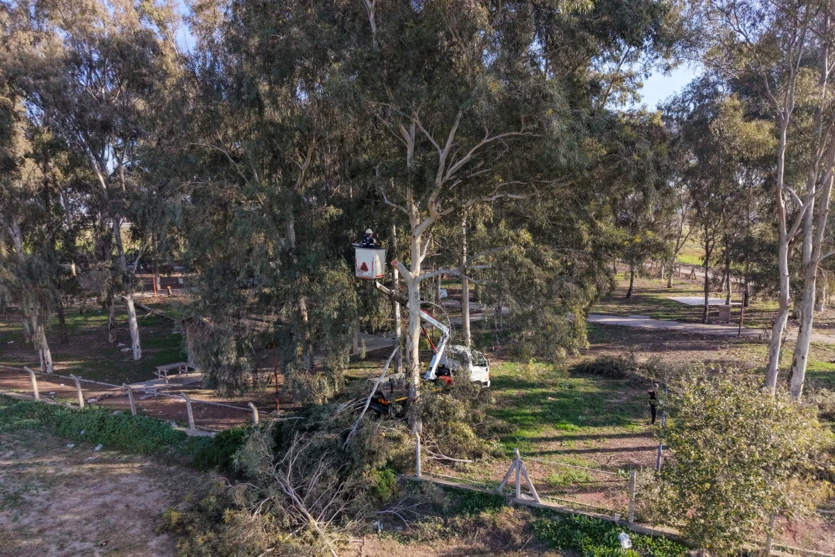 EFELER&rsquo;İN EKİPLERİ TEPECİK MESİRE ALANI&rsquo;NDA