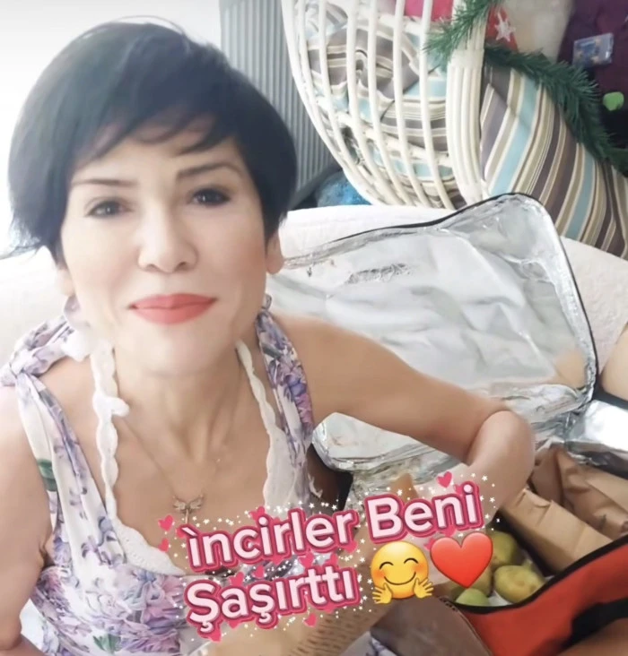 Germencik incirine &uuml;nl&uuml; sanat&ccedil;ılardan &ouml;vg&uuml;