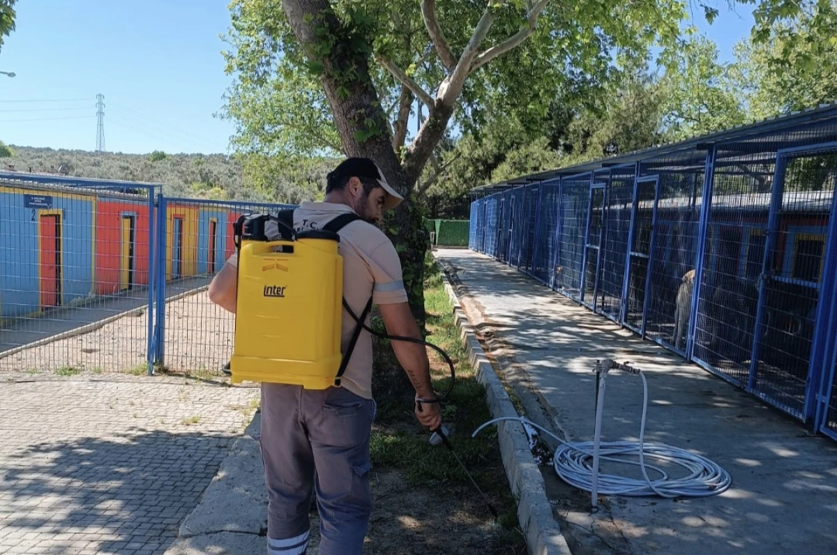 KUŞADASI EVCİL HAYVAN BAKIM VE REHABİLİTASYON MERKEZİ'NDE KENE İ&Ccedil;İN ERKEN &Ccedil;&Ouml;Z&Uuml;M HAMLESİ