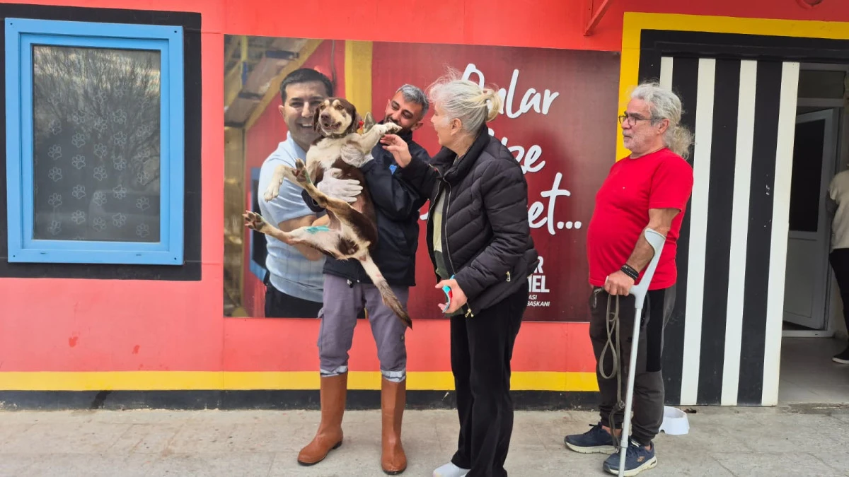 &lsquo;LADY&rsquo; SICAK YUVASINA KAVUŞTU